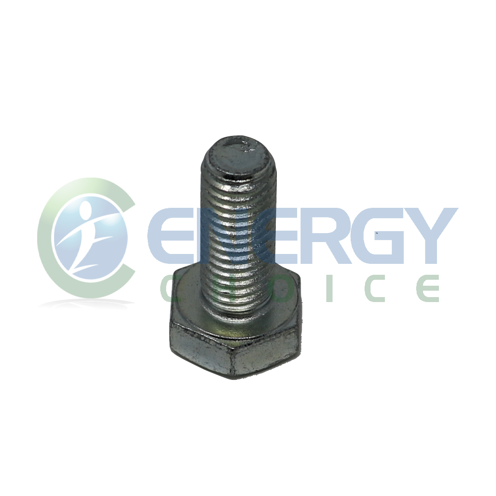 Hexagonal Head Screw, Jenbacher, 100441